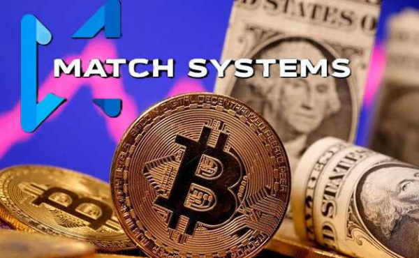 Блокчейн-маскировка для ОПГ: как бывшие следователи из Match Systems создавали фальшивые судебные постановления и воровали криптовалюту через Garantex и Binance